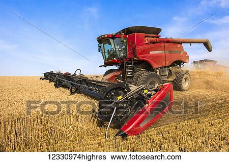 A Combine Harvesting Grain In The Palouse Region Of Eastern Washington; Washington, United States Of America View Large Photo Image Stock Photograph - A Combine Harvesting Grain In The Palouse Region Of Eastern Washington; Washington, United States Of America. Fotosearch