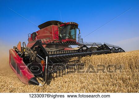 Stock Photograph - A Combine Harvesting Grain In The Palouse Region Of Eastern Washington; Washington, United States Of America. Fotosearch