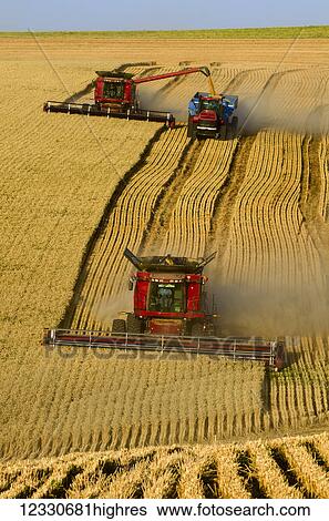 A Combine Harvests Grain And Offloads Into A Grain Cart Pulled By A Tractor In The Palouse Region Of Washington; Washington, United States Of America View Large Photo Image Stock Photograph - A Combine Harvests Grain And Offloads Into A Grain Cart Pulled By A Tractor In The Palouse Region Of Washington; Washington, United States Of America. Fotosearch