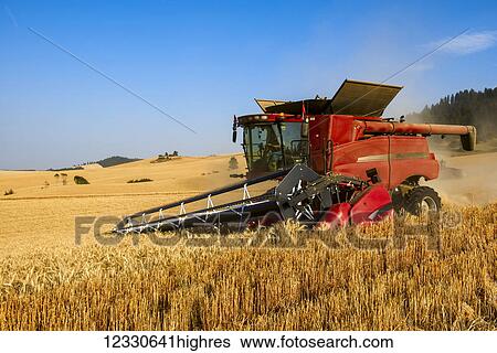 Stock Photograph - A Combine Harvests Grain In The Palouse Region Of Eastern Washington; Washington, United States Of America. Fotosearch