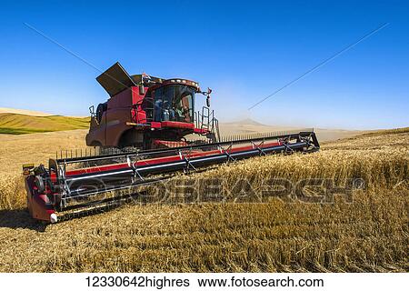 Stock Photograph - A Combine Harvests Grain In The Palouse Region Of Eastern Washington; Washington, United States Of America. Fotosearch