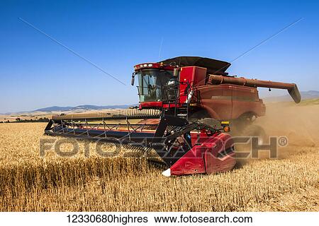 Stock Photograph - A Combine Harvests Grain In The Palouse Region Of Washington; Washington, United States Of America. Fotosearch