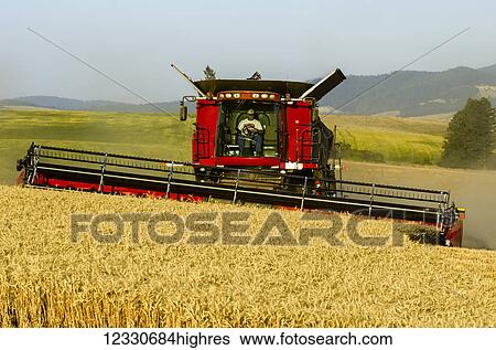 A Combine Harvests Grain In The Palouse Region Of Washington; Washington, United States Of America View Large Photo Image Stock Photograph - A Combine Harvests Grain In The Palouse Region Of Washington; Washington, United States Of America. Fotosearch
