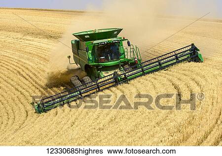 A Combine Harvests Grain In The Palouse Region Of Washington; Washington, United States Of America View Large Photo Image Stock Photograph - A Combine Harvests Grain In The Palouse Region Of Washington; Washington, United States Of America. Fotosearch