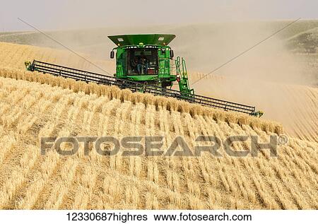 Stock Photograph - A Combine Harvests Grain In The Palouse Region Of Washington; Washington, United States Of America. Fotosearch