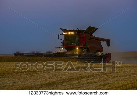 Stock Photograph - A Combine Harvests Grain In The Palouse Region Of Eastern Washington At Dusk; Washington, United States Of America. Fotosearch