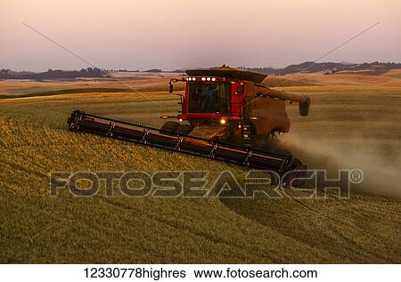 Stock Photograph - A Combine Harvests Grain In The Palouse Region Of Eastern Washington; Washington, United States Of America. Fotosearch