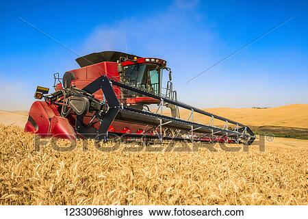 A Combine Harvests Grain In The Palouse Region Of Eastern Washington; Washington, United States Of America View Large Photo Image Stock Photograph - A Combine Harvests Grain In The Palouse Region Of Eastern Washington; Washington, United States Of America. Fotosearch