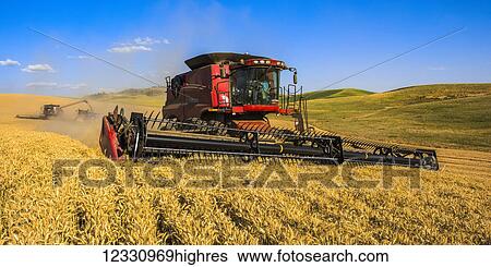 A Combine Harvests Grain In The Palouse Region Of Eastern Washington; Washington, United States Of America View Large Photo Image Stock Photograph - A Combine Harvests Grain In The Palouse Region Of Eastern Washington; Washington, United States Of America. Fotosearch