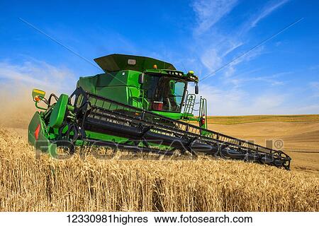Stock Photograph - A Combine Harvests Grain In The Palouse Region Of Washington; Washington, United States Of America. Fotosearch