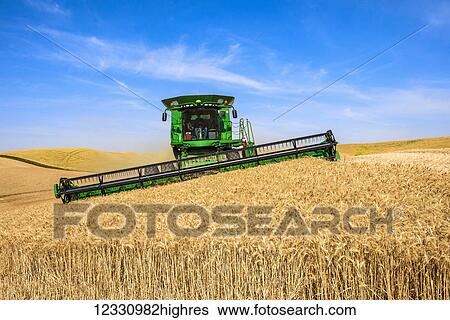 Stock Photograph - A Combine Harvests Grain In The Palouse Region Of Washington; Washington, United States Of America. Fotosearch