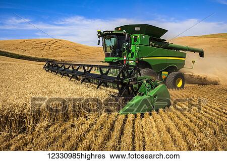 Stock Photograph - A Combine Harvests Grain In The Palouse Region Of Washington; Washington, United States Of America. Fotosearch