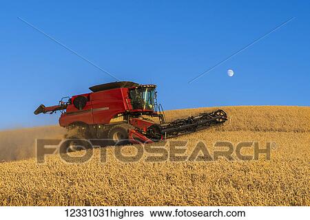 Stock Photograph - A Combine Harvests Grain In The Palouse Region Of Eastern Washington; Washington, United States Of America. Fotosearch