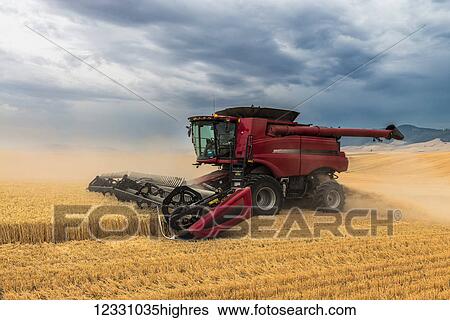 A Combine Harvests Grain In The Palouse Region Of Eastern Washington; Washington, United States Of America View Large Photo Image Stock Photograph - A Combine Harvests Grain In The Palouse Region Of Eastern Washington; Washington, United States Of America. Fotosearch