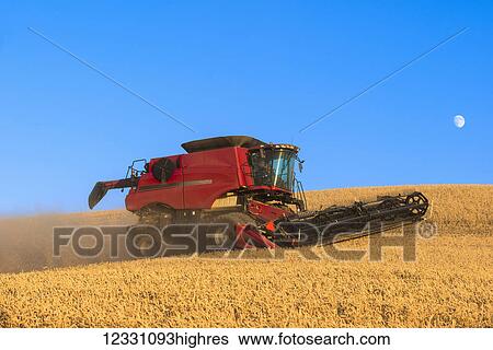 A Combine Harvests Grain In The Palouse Region Of Easter Washington; Washington, United States Of America View Large Photo Image Stock Photograph - A Combine Harvests Grain In The Palouse Region Of Easter Washington; Washington, United States Of America. Fotosearch