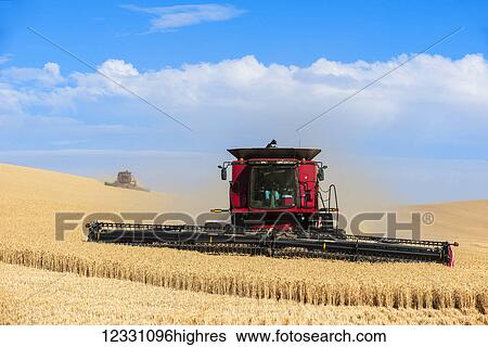 Stock Photograph - A Combine Harvests Grain In The Palouse Region Of Eastern Washington; Washington, United States Of America. Fotosearch