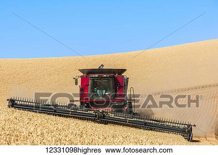 Stock Photograph - A Combine Harvests Grain In The Palouse Region Of Eastern Washington; Washington, United States Of America. Fotosearch