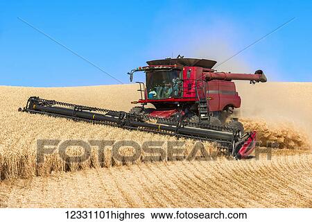 Stock Photograph - A Combine Harvests Grain In The Palouse Region Of Eastern Washington; Washington, United States Of America. Fotosearch