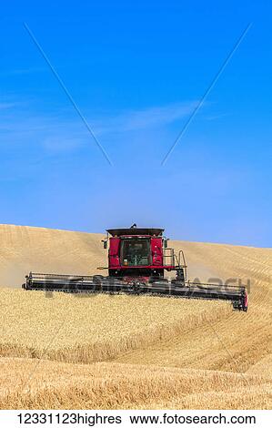 Stock Photograph - A Combine Harvests Grain In The Palouse Region Of Eastern Washington; Washington, United States Of America. Fotosearch
