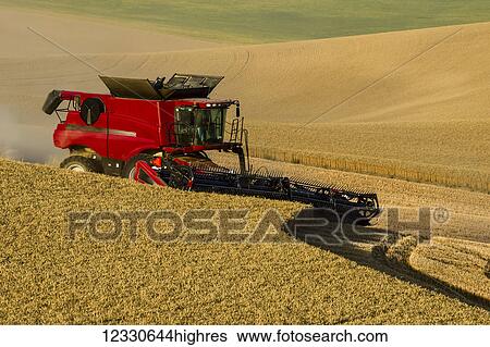 Stock Photograph - A Combine Harvests Grain On The Hills Of The Palouse Region Of Washington; Washington, United States Of America. Fotosearch
