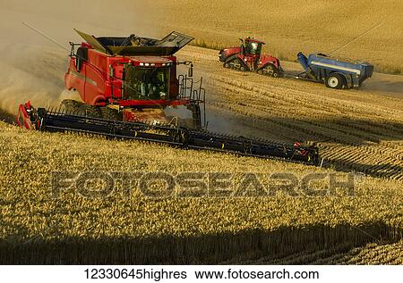 Stock Photograph - A Combine Harvests Grain On The Hills Of The Palouse Region Of Washington; Washington, United States Of America. Fotosearch