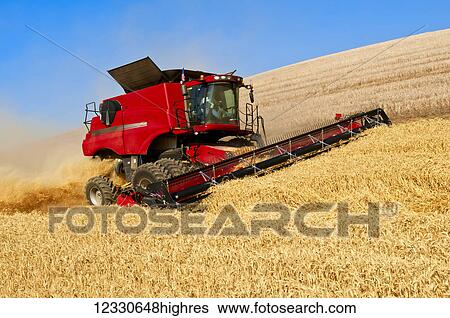 A Combine Harvests Grain On The Hills Of The Palouse Region Of Washington; Washington, United States Of America View Large Photo Image Stock Photograph - A Combine Harvests Grain On The Hills Of The Palouse Region Of Washington; Washington, United States Of America. Fotosearch