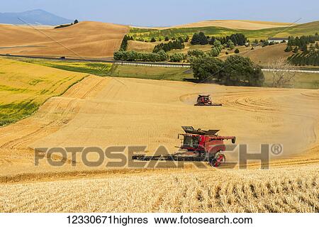 Stock Photograph - A Combine Harvests Grain On The Hills Of The Palouse Region Of Washington; Washington, United States Of America. Fotosearch