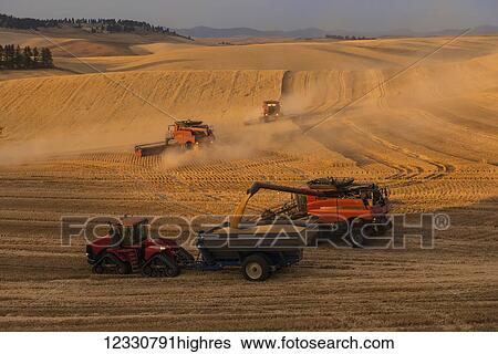 A Combine Offloading Grain To A Tractor Pulled Grain Cart In Southeast Washington; Washington, United States Of America View Large Photo Image Stock Photograph - A Combine Offloading Grain To A Tractor Pulled Grain Cart In Southeast Washington; Washington, United States Of America. Fotosearch