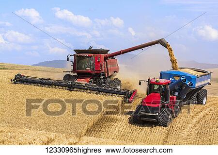 Stock Photograph - A Combine Offloading Grain To A Tractor Pulled Grain Cart In Southeast Washington; Washington, United States Of America. Fotosearch