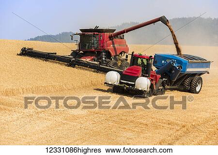 Stock Photograph - A Combine Offloading Grain To A Tractor Pulled Grain Cart In Southeast Washington; Washington, United States Of America. Fotosearch