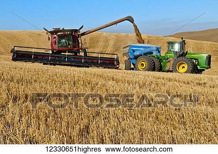 Stock Photograph - A Combine Offloading Harvested Grain Into A Grain Cart Pulled By A Tractor; Washington, United States Of America. Fotosearch