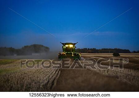 Stock Photograph - A combine with its lights on harvesting canola after sunset; Legal, Alberta, Canada. Fotosearch