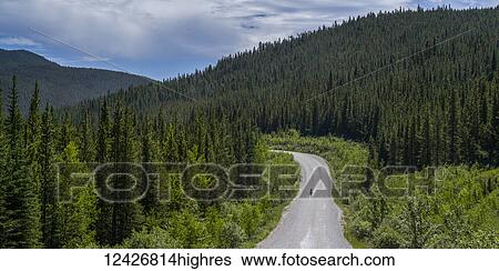 Stock Photograph - A cyclist rides in the middle of the road with dense forest in the foothills of the Rocky mountains; Longview, Alberta, Canada. Fotosearch