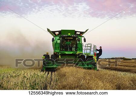 A farmer jumps on a moving combine to join his son while harvesting canola at sunset; Legal, Alberta, Canada View Large Photo Image Stock Photograph - A farmer jumps on a moving combine to join his son while harvesting canola at sunset; Legal, Alberta, Canada. Fotosearch