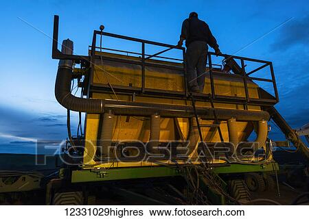 A Farmer Works On His Farming Equipment At Dusk; Washington, United States Of America View Large Photo Image Stock Photograph - A Farmer Works On His Farming Equipment At Dusk; Washington, United States Of America. Fotosearch