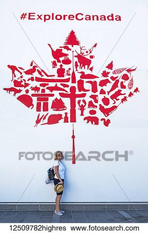 A female tourist stands under a red and white maple leaf wall mural promoting Canadian tourism; Vancouver, British Columbia, Canada View Large Photo Image Stock Photograph - A female tourist stands under a red and white maple leaf wall mural promoting Canadian tourism; Vancouver, British Columbia, Canada. Fotosearch