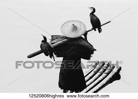 Stock Photograph - A fisherman stands on a wooden raft on a river with two birds perched on a paddle; China. Fotosearch