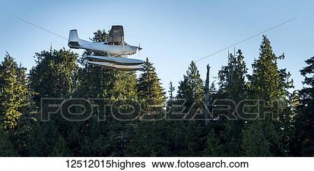 A float plane flies above Clayoquot Sound on the Pacific Rim beside a forest and blue sky, Vancouver Island; Tofino, British Columbia, Canada View Large Photo Image Stock Photograph - A float plane flies above Clayoquot Sound on the Pacific Rim beside a forest and blue sky, Vancouver Island; Tofino, British Columbia, Canada. Fotosearch