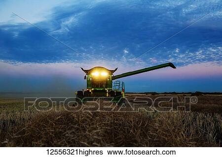 A fully loaded combine with its lights on arm out for transer, harvesting canola after sunset; Legal, Alberta, Canada View Large Photo Image Stock Photograph - A fully loaded combine with its lights on arm out for transer, harvesting canola after sunset; Legal, Alberta, Canada. Fotosearch
