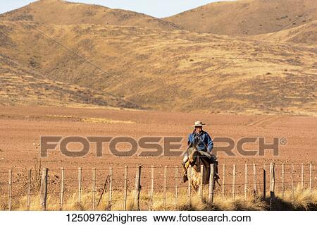 A gaucho is riding his horse along his property of bare desert hills; Potrerillos, Mendoza, Argentina View Large Photo Image Stock Photograph - A gaucho is riding his horse along his property of bare desert hills; Potrerillos, Mendoza, Argentina. Fotosearch