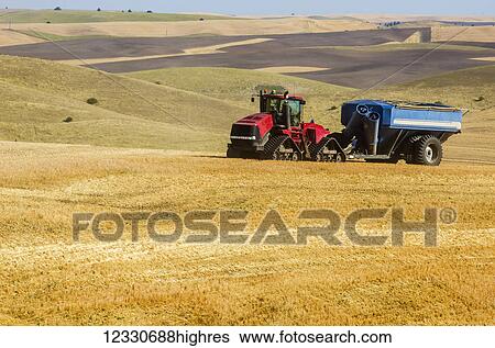 Stock Photograph - A Grain Cart Pulled By A Tractor Over The Hills Of Harvested Grain In Eastern Washington; Washington, United States Of America. Fotosearch