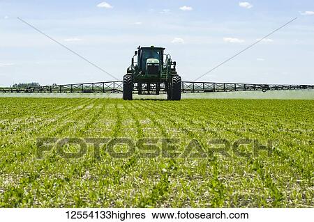 Stock Photograph - A high clearance sprayer gives a ground chemical application of herbicide to early growth soybeans, near Niverville; Manitoba, Canada. Fotosearch