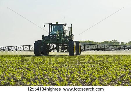 Stock Photograph - A high clearance sprayer gives a ground chemical application of herbicide to early growth soybeans, near Niverville; Manitoba, Canada. Fotosearch