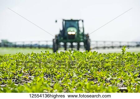 Stock Photograph - A high clearance sprayer gives a ground chemical application of herbicide to early growth soybeans, near Niverville; Manitoba, Canada. Fotosearch