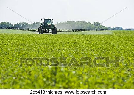 Stock Photograph - A high clearance sprayer gives a ground chemical application of herbicide to early growth soybeans, near Niverville; Manitoba, Canada. Fotosearch