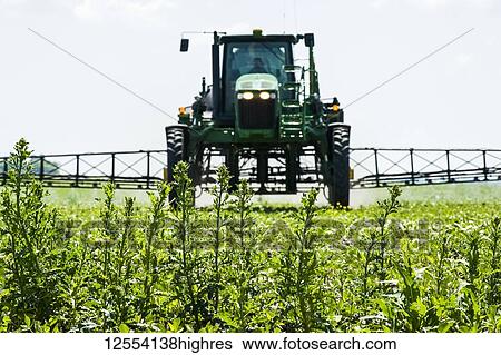 Stock Photograph - A high clearance sprayer gives a ground chemical application of herbicide to early growth soybeans, near Niverville; Manitoba, Canada. Fotosearch