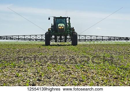 Stock Photograph - A high clearance sprayer gives a ground chemical application of herbicide to early growth soybeans, near Niverville; Manitoba, Canada. Fotosearch