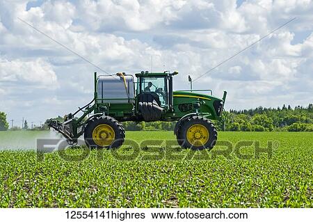 Stock Photograph - A high clearance sprayer gives a ground chemical application of herbicide to early growth feed/grain corn, near Steinbach; Manitoba, Canada. Fotosearch