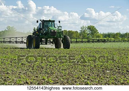 A high clearance sprayer gives a ground chemical application of herbicide to early growth feed/grain corn, near Steinbach; Manitoba, Canada View Large Photo Image Stock Photograph - A high clearance sprayer gives a ground chemical application of herbicide to early growth feed/grain corn, near Steinbach; Manitoba, Canada. Fotosearch