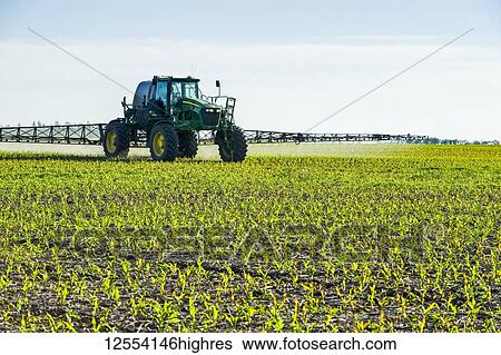 A high clearance sprayer gives a ground chemical application of herbicide to early growth feed/grain corn, near Steinbach; Manitoba, Canada View Large Photo Image Stock Photograph - A high clearance sprayer gives a ground chemical application of herbicide to early growth feed/grain corn, near Steinbach; Manitoba, Canada. Fotosearch
